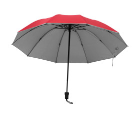 Umbrella with silver inside